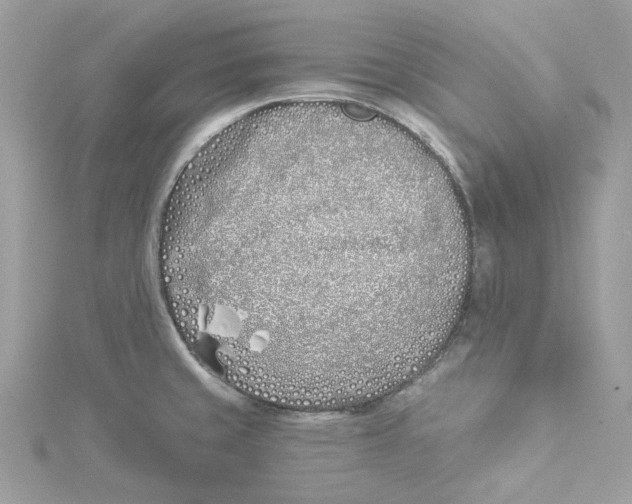 X0000114511429200911161246