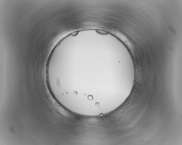 X0000114511431200911161246