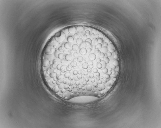 X0000114511432200911161246