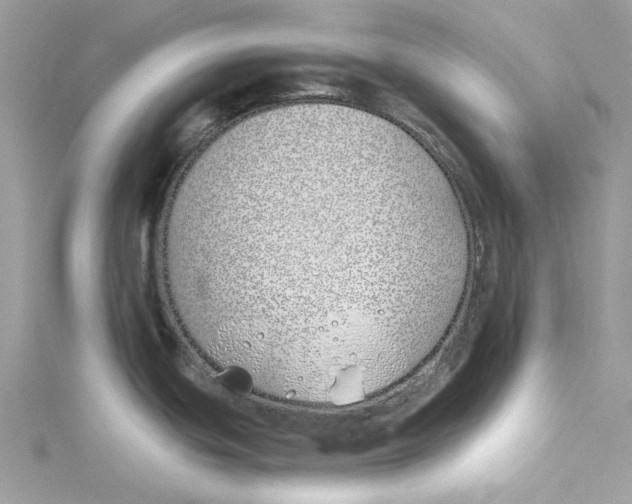 X0000114511439200911161246