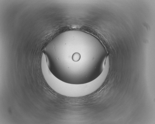 X0000114511443200911161245