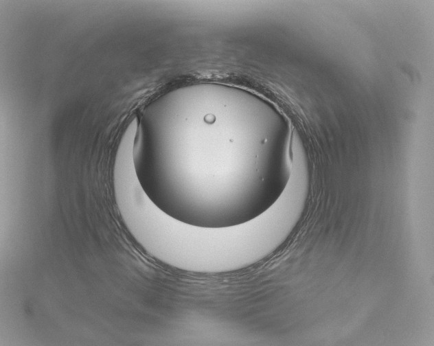 X0000114511444200911161245