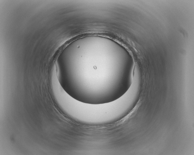 X0000114511449200911161245