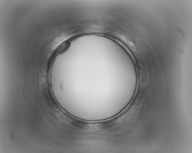 X0000114511453200911161245