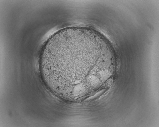 X0000114511455200911161245