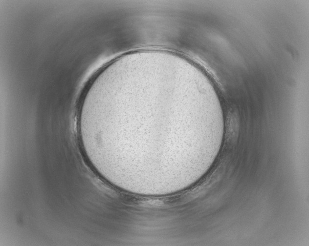 X0000114511462200911161245