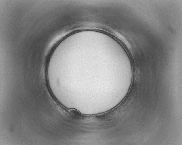 X0000114511464200911161245