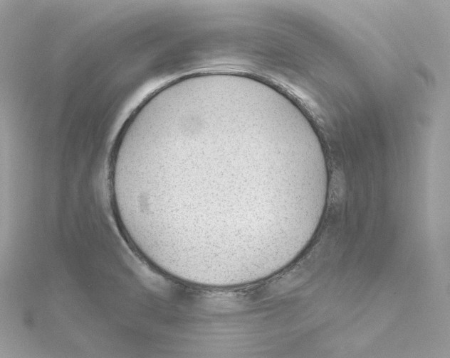 X0000114511470200911161245