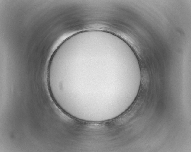 X0000114511478200911161245