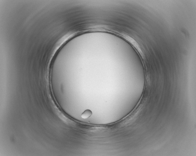 X0000114511482200911161245