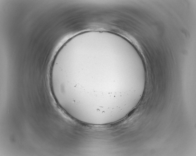 X0000114511488200911161245