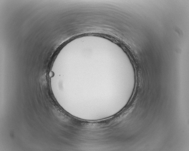 X0000114511497200911161244