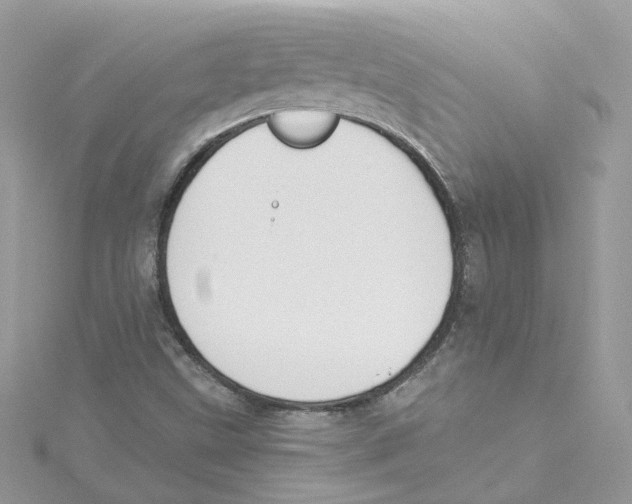 X0000114511499200911161244