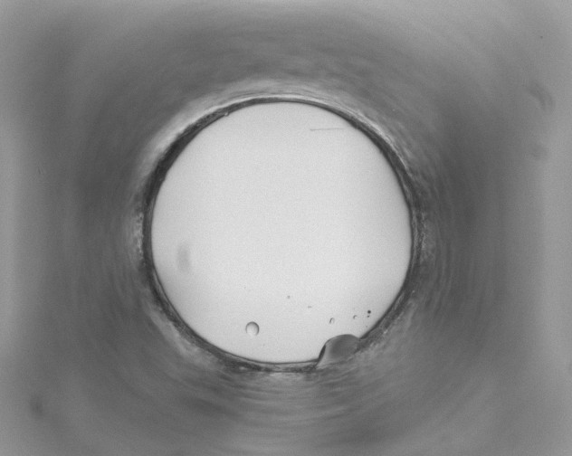 X0000114511503200911161244