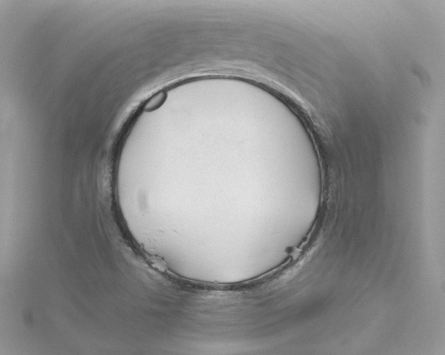 X0000114511506200911161244