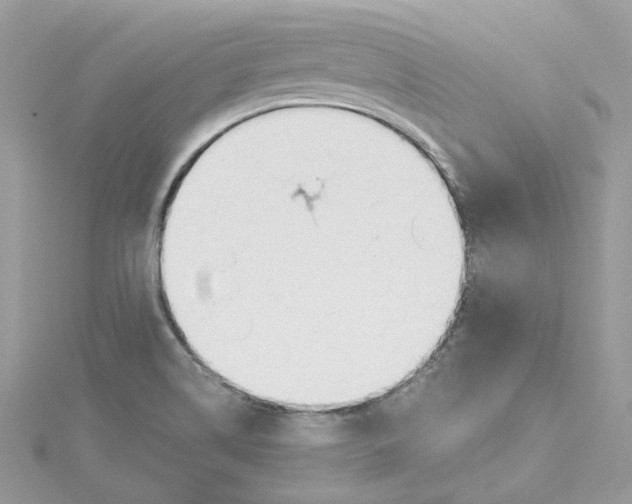 X0000114511514200911161244