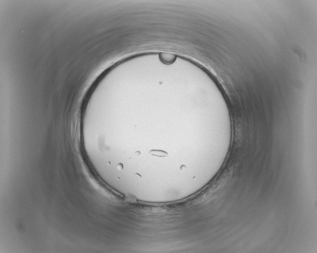 X0000114511515200911161244