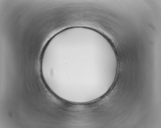 X0000114511517200911161244