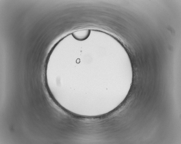 X0000114511518200911161244