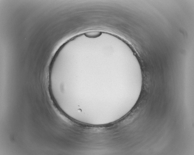 X0000114511519200911161244