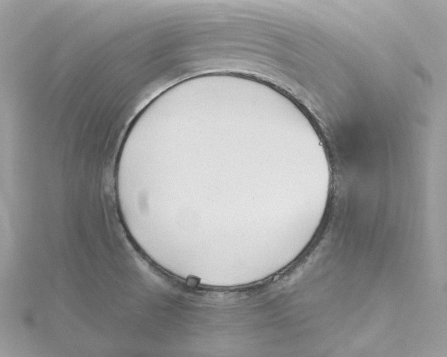 X0000114511521200911161244