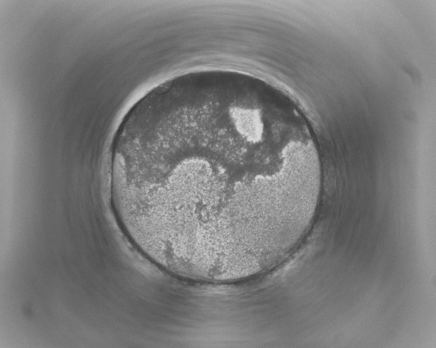 X0000114511522200911161244