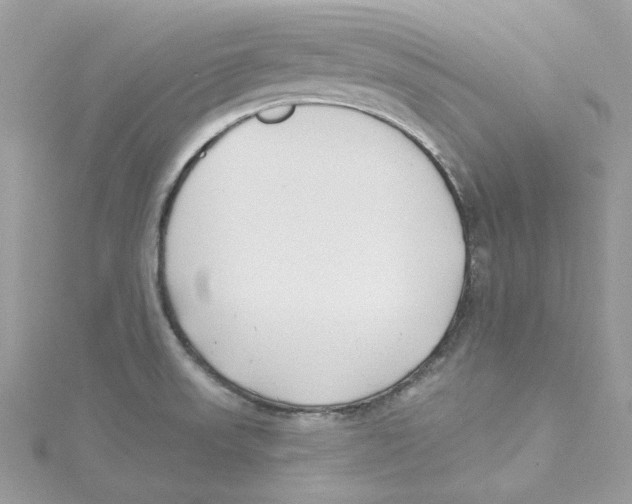 X0000114511523200911161244