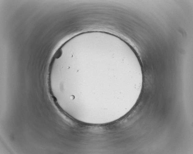 X0000114511525200911161244