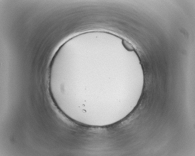 X0000114511526200911161244