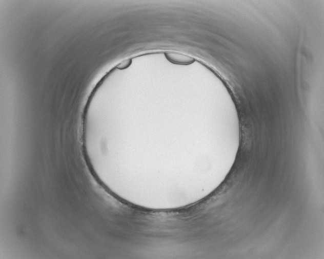 X0000114511527200911161244