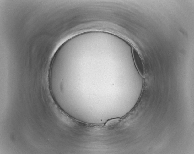 X0000114511530200911161244