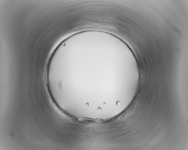 X0000114511531200911161244