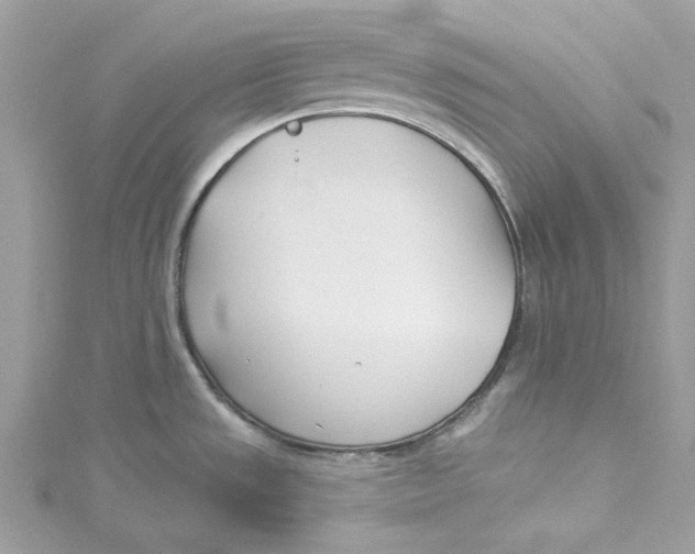 X0000114511533200911161244