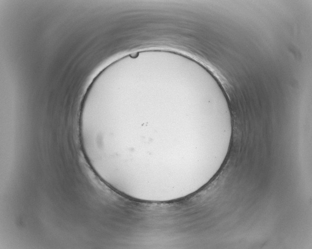 X0000114511534200911161244