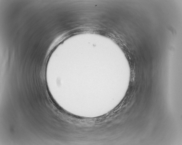 X0000114510004200911301158