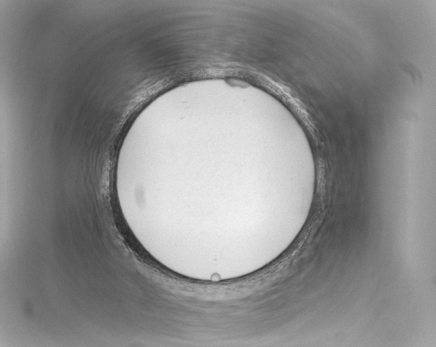 X0000114510010200911301158