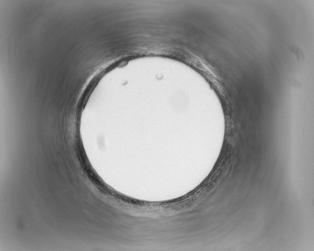 X0000114510012200911301158