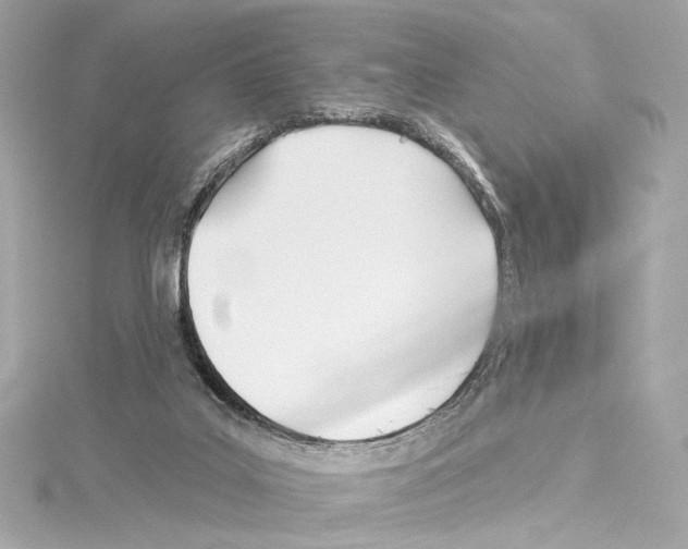 X0000114510019200911301158