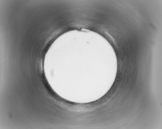 X0000114510020200911301157