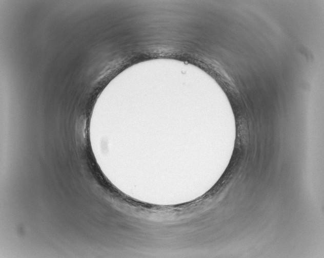 X0000114510024200911301157