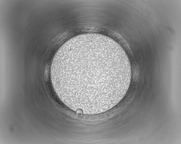 X0000114510026200911301157