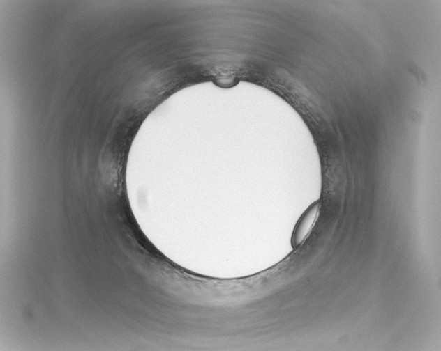 X0000114510031200911301157