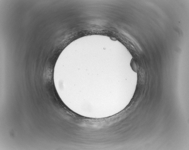 X0000114510033200911301157