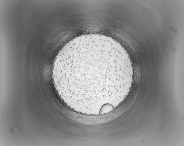 X0000114510034200911301157