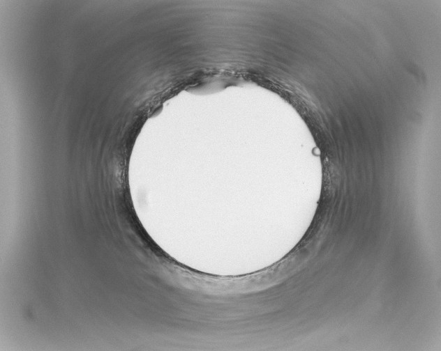 X0000114510039200911301157