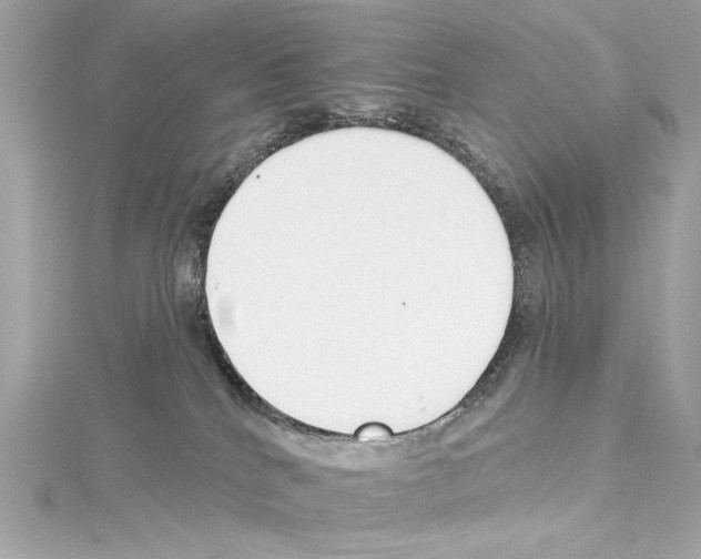 X0000114510040200911301157