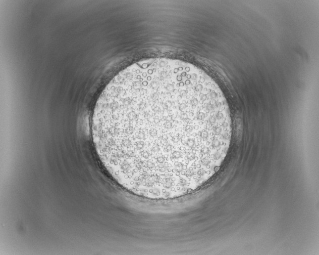 X0000114510042200911301157