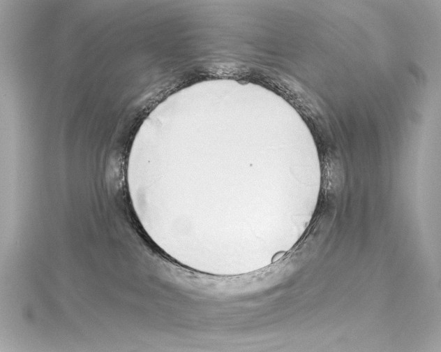 X0000114510043200911301157