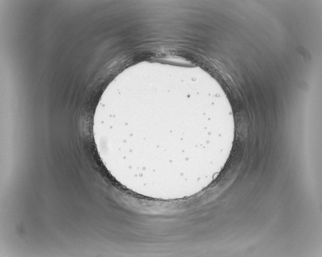 X0000114510044200911301157