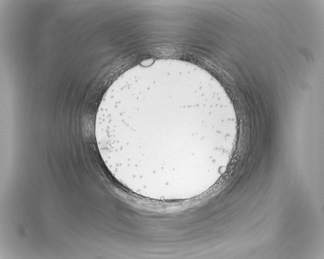 X0000114510048200911301157